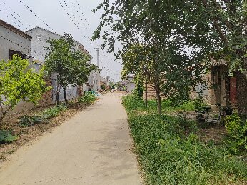 村中老宅