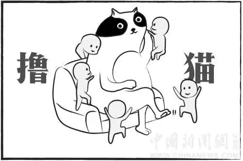猫奴诗人陆游：一边撸猫，一边喝酒